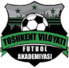 塔什干VFA